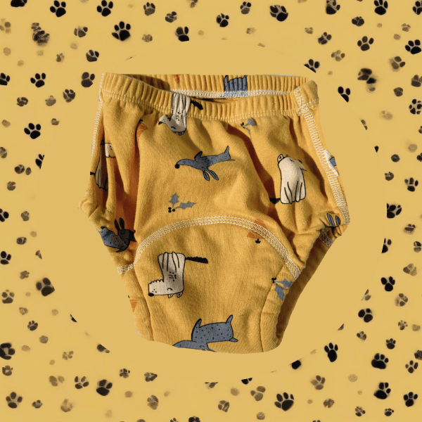 Steppi Potty Training Pants